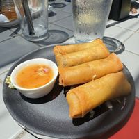 Veggie Spring Rolls with marinated shiitake mushrooms and noodles   at Jingu House in San Antonio