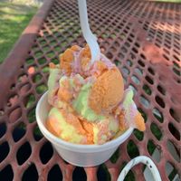 Sorbet at Frosty's Ice Cream in Depew