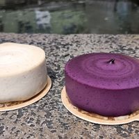 Cheesecake und Heidelbeere at FrohNat - DessertX in Freiburg