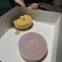 Mango and raspberry cheesecakes  at FrohNat - DessertX in Freiburg
