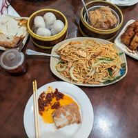 Fried noodles, radish cake, shrimp dumplings, and other stuff at Vegetarian Dim Sum House in New York City