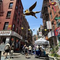 Realized I didn’t photograph the food. Not photogenic. But here’s the street.  at Vegetarian Dim Sum House in New York City