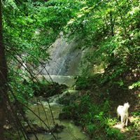  at RisingSoul Retreat in Tryavna