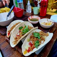 Tacos at The Vegan Regime in Istanbul