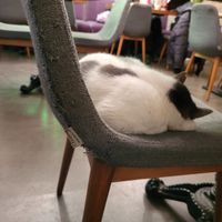  at The Vegan Regime in Istanbul