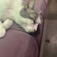   at The Vegan Regime in Istanbul