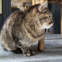   at The Vegan Regime in Istanbul