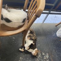   at The Vegan Regime in Istanbul