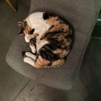   at The Vegan Regime in Istanbul