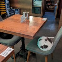  at The Vegan Regime in Istanbul