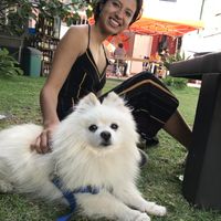 El jardín  at Puerto Pulsus in Mexico City