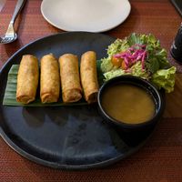 Crispy Spring Rolls at Element Vegetarian in Phnom Penh