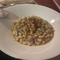   at Cadence in New York City