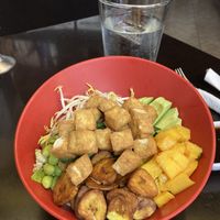   at Rock n Java Noodle Bar and Sushi  in Cozumel