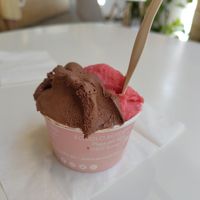 Chocolat Sorbet & raspberry at Eccolo Gelato in Madrid