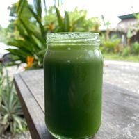 Green juice. at Juice For Life in Puerto Viejo De Talamanca