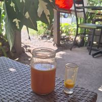  at Juice For Life in Puerto Viejo De Talamanca