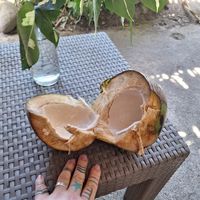  at Juice For Life in Puerto Viejo De Talamanca