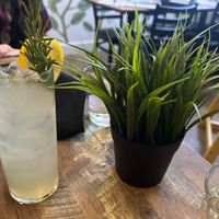  at PiANTA in Providence