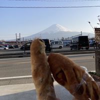   at Le Pain De Daniel パンダニエル in Fujikawaguchiko