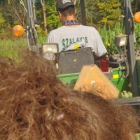 The Tractor driver was texting and driving and he was drinking driving my children around.  at Szalay's Sweet Corn Farm in Peninsula