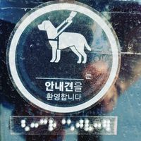  at Sushi Chungjeon 초밥충전 in Jeju