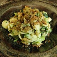 Orecchiette cime di rapa at Zenzero in Bologna