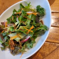 little salad as a starter at Rainbow Bird Rendezvous in Tokyo