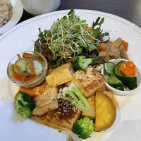   at Rainbow Bird Rendezvous in Tokyo