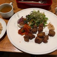  at Rainbow Bird Rendezvous in Tokyo