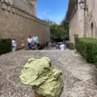 Pistachio  at Rivareno - Plaça de la Llotja in Mallorca