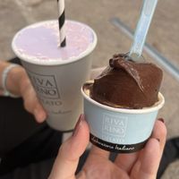   at Rivareno - Plaça de la Llotja in Mallorca