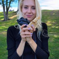  at Fons Empanadas in Chicago