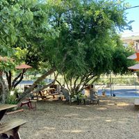 Outdoor seating at Tree House Cafe in West Sacramento