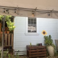   at Tree House Cafe in West Sacramento