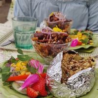 The baked potato with cashew at Tant Grön in Vintrosa