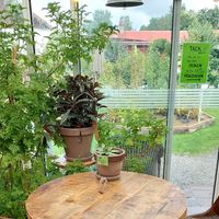 Cozy place to sit. at Tant Grön in Vintrosa