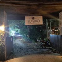  at Milk & Honey in Koh Tao