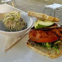 Sandwich and Side  at Living Kitchen - South End in Charlotte