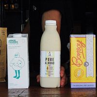 Plant based milk options at remy's in Paddington