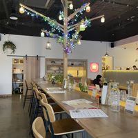   at Shimbashi in Collingwood