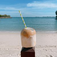 Fresh coconut at Tanjong Beach Club in Central Singapore