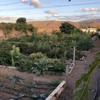 They are the best ❤️ at El Invernadero in Fuerteventura