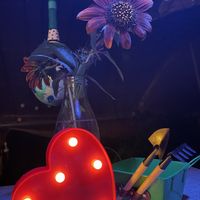 the owner came with this heart to us and made the lights romantic  at El Invernadero in Fuerteventura