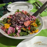 Lovely salade with sourkrout, lettuce, tomatoes, flowers etc at El Invernadero in Fuerteventura
