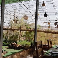  at El Invernadero in Fuerteventura