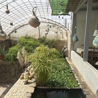   at El Invernadero in Fuerteventura