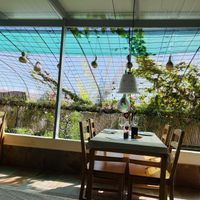   at El Invernadero in Fuerteventura