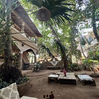 vibe  at Other-Wise in Arambol