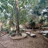 vibe  at Other-Wise in Arambol